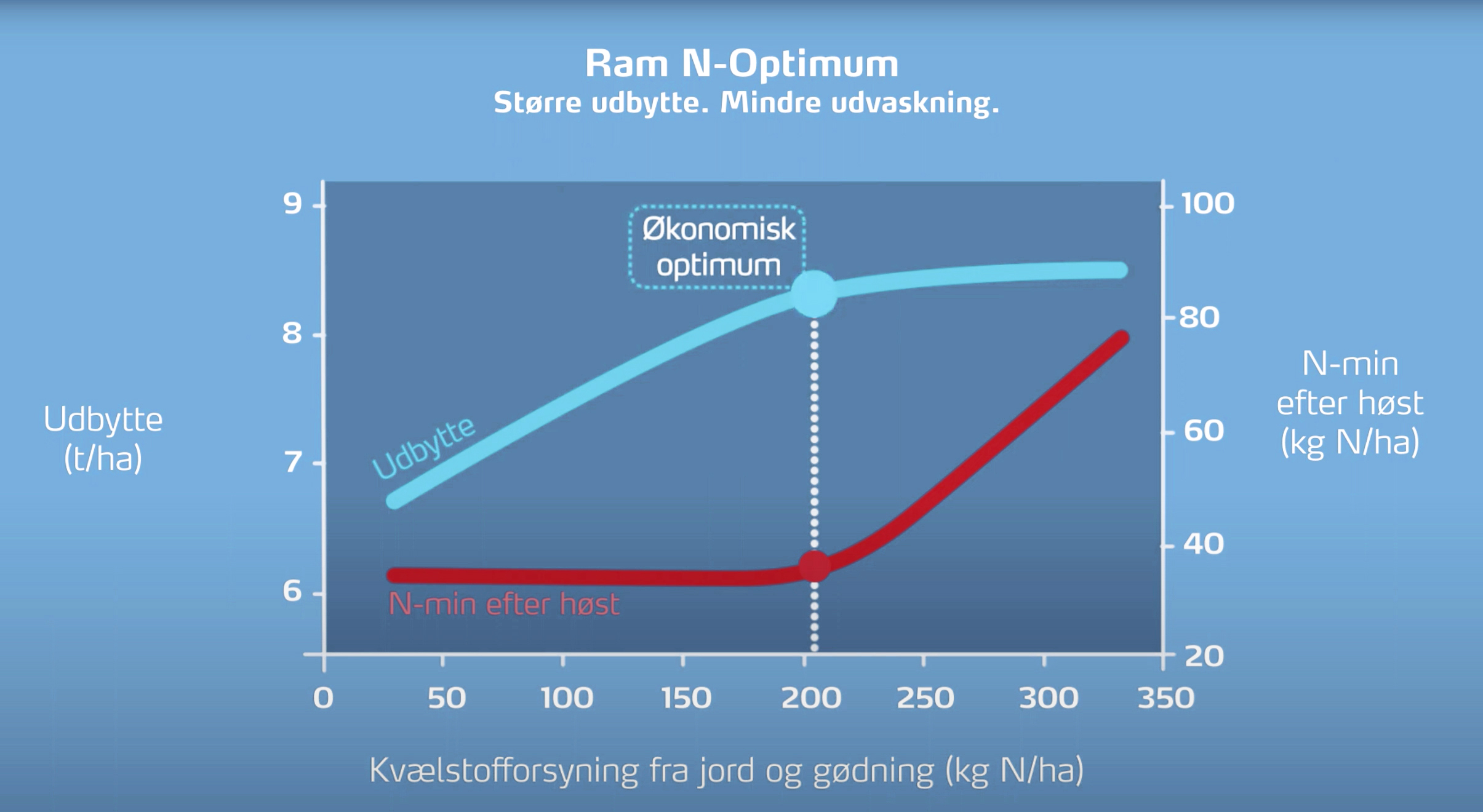 n-optimum